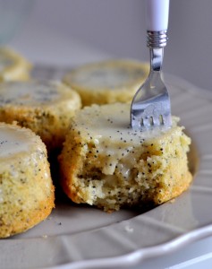 Jogurtowe babeczki z makiem i cytrusami