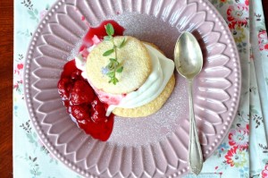 Biszkopciki ze śmietaną i malinowym sosem