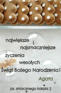 Wesołych Świąt !