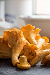 Łosoś z kurkami zapiekany pod puree ziemniaczanym