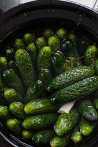 Jak przygotować kiszone ogórki na zimę?