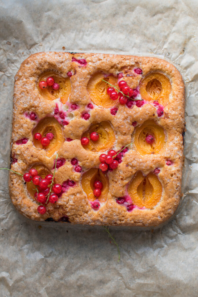 Ciasto z morelami i porzeczkami